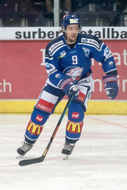 文社青部的 文社青部的